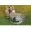Kitchen Craft Coolmovers 'Butterfly Lane' 4 Person Picnic Basket